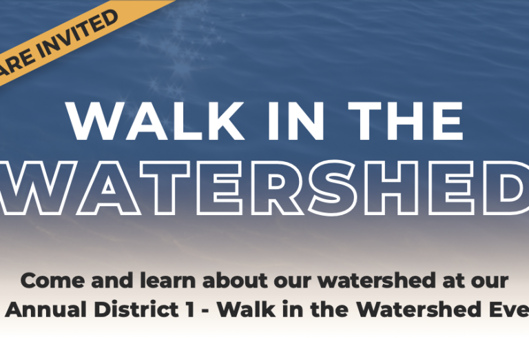 Walk In The Watershed