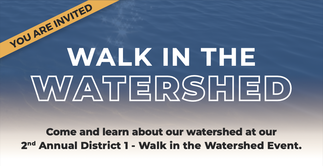 Walk in the Watershed Walk In The Watershed